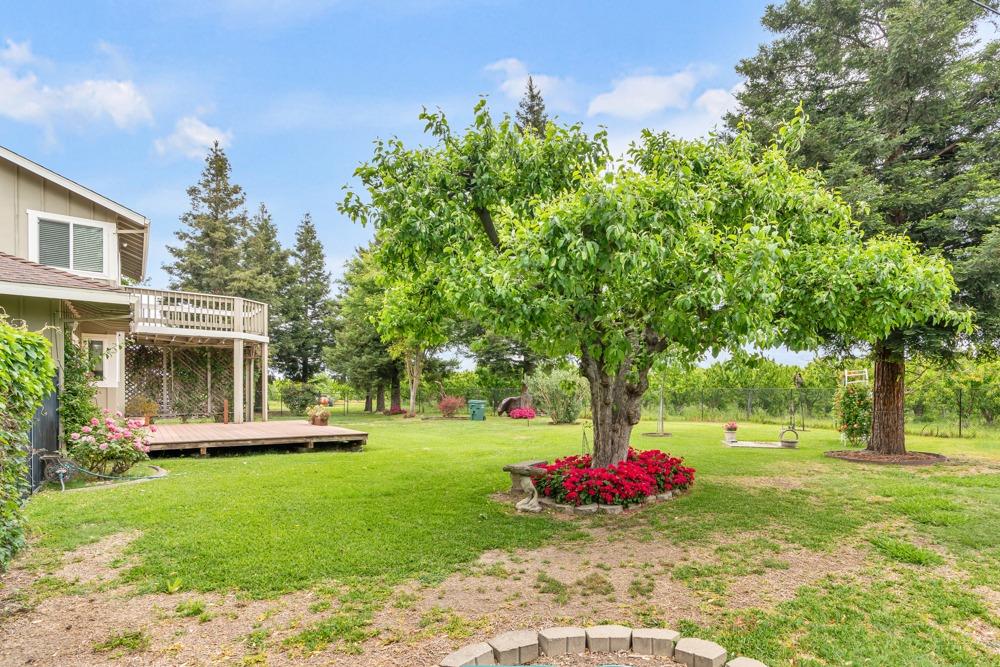 Detail Gallery Image 11 of 73 For 13043 River Rd, Walnut Grove,  CA 95690 - 3 Beds | 2/1 Baths