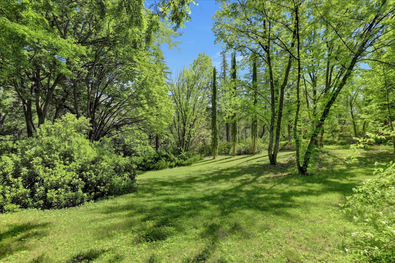Detail Gallery Image 93 of 99 For 14511 Clear Creek Pl, Grass Valley,  CA 95949 - 3 Beds | 2 Baths