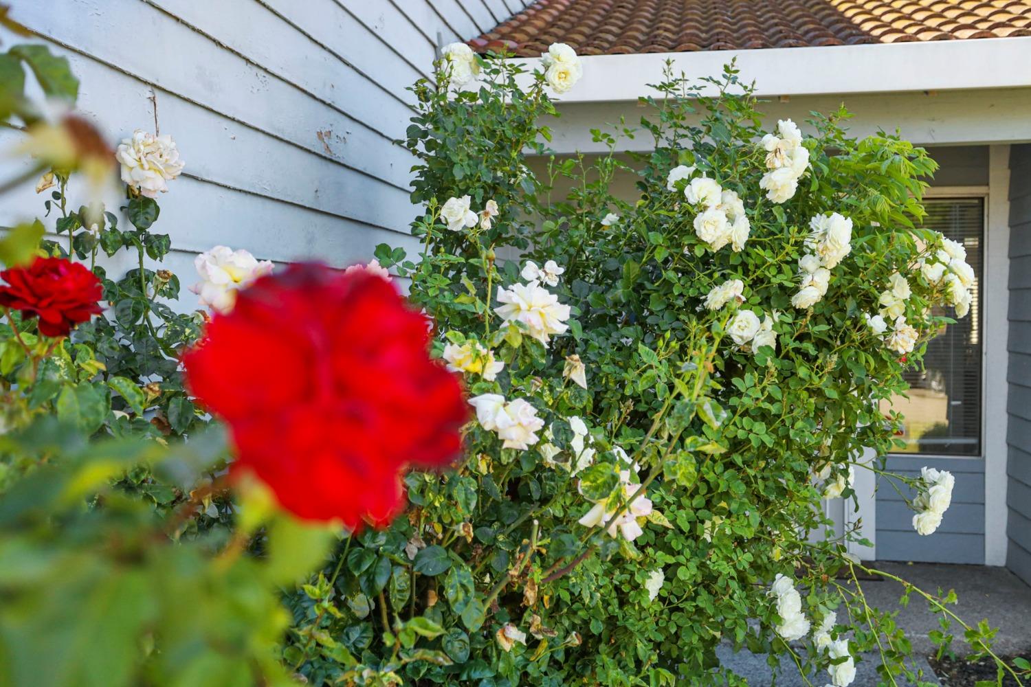 Detail Gallery Image 2 of 35 For 1122 Morning Dew Pl, Stockton,  CA 95210 - 3 Beds | 2/1 Baths