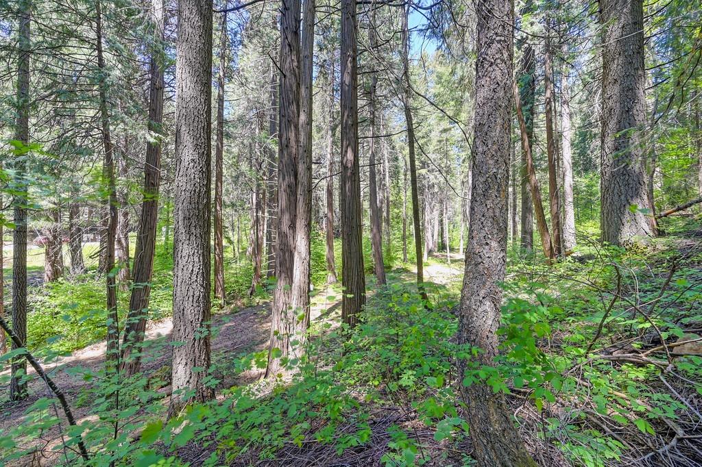 Detail Gallery Image 6 of 40 For 3005 Amber Trl, Pollock Pines,  CA 95726 - – Beds | – Baths