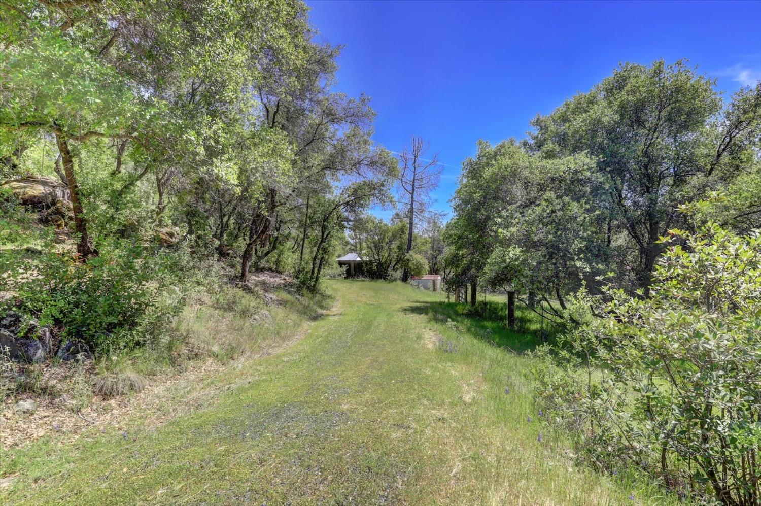 Detail Gallery Image 65 of 99 For 14511 Clear Creek Pl, Grass Valley,  CA 95949 - 3 Beds | 2 Baths