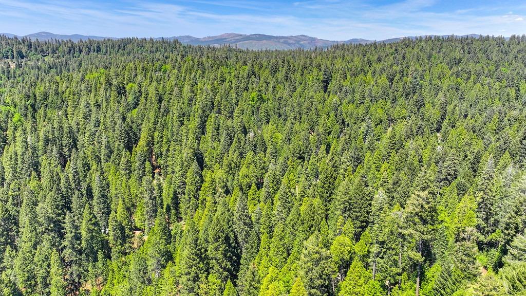 Detail Gallery Image 40 of 40 For 3005 Amber Trl, Pollock Pines,  CA 95726 - – Beds | – Baths