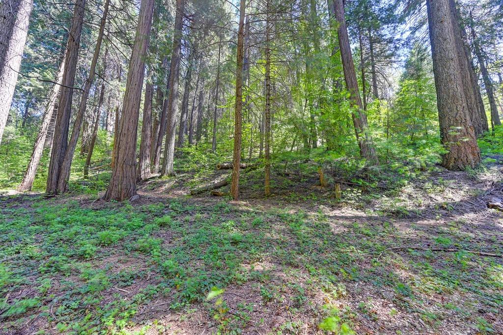 Detail Gallery Image 2 of 40 For 3005 Amber Trl, Pollock Pines,  CA 95726 - – Beds | – Baths