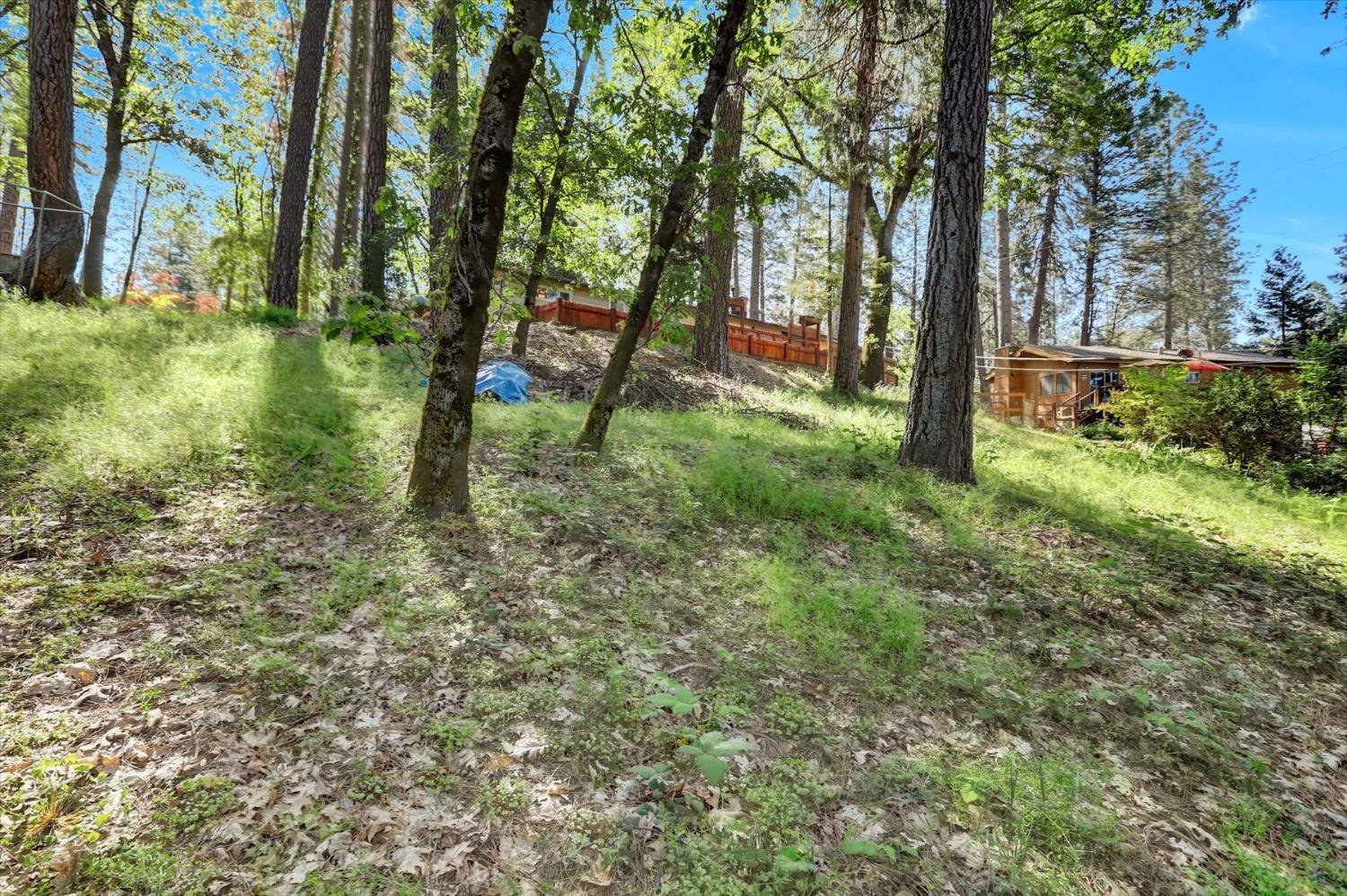 Detail Gallery Image 49 of 75 For 10286 Sugar Pine Ct, Grass Valley,  CA 95949 - 3 Beds | 2 Baths