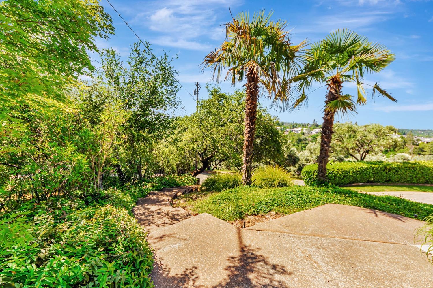 Detail Gallery Image 37 of 46 For 159 Aeolia Dr, Auburn,  CA 95603 - 3 Beds | 3 Baths