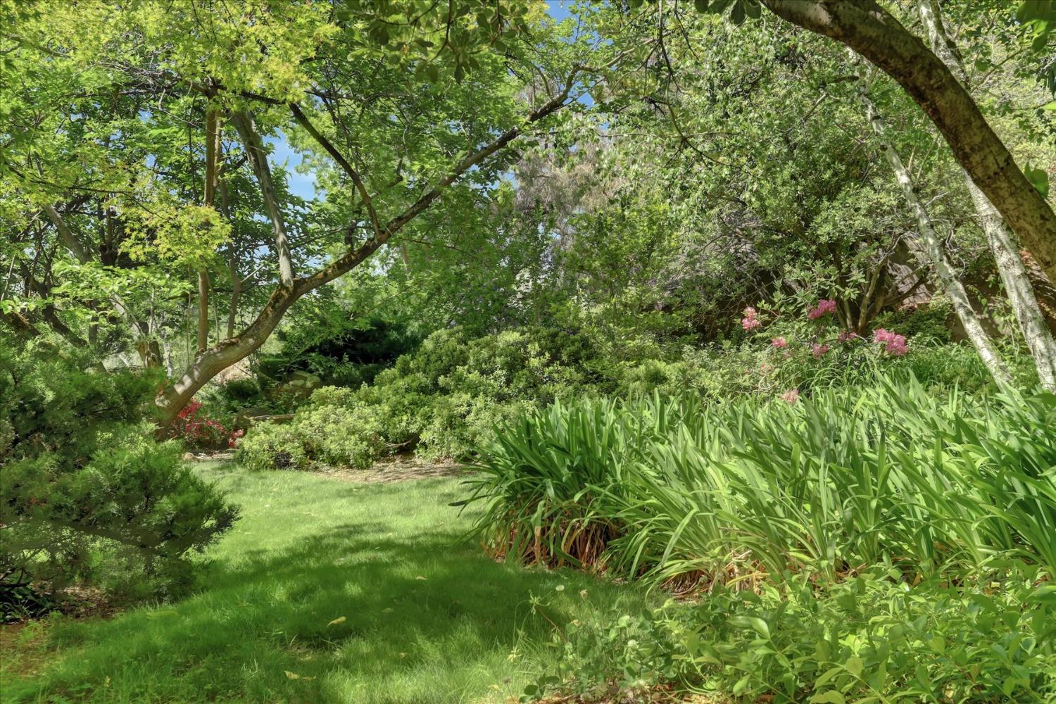 Detail Gallery Image 96 of 99 For 14511 Clear Creek Pl, Grass Valley,  CA 95949 - 3 Beds | 2 Baths