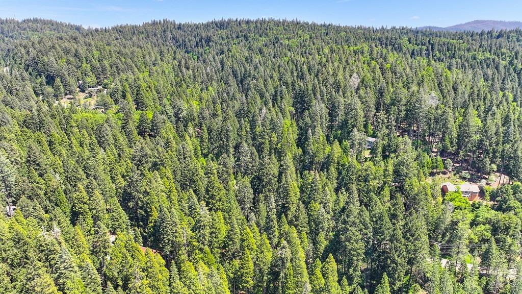 Detail Gallery Image 15 of 40 For 3005 Amber Trl, Pollock Pines,  CA 95726 - – Beds | – Baths
