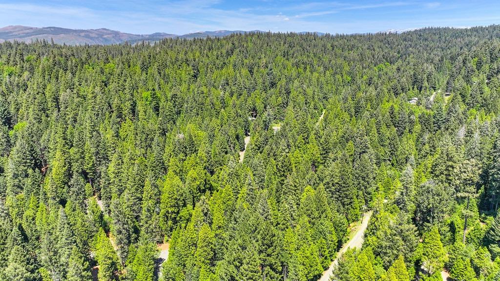 Detail Gallery Image 28 of 40 For 3005 Amber Trl, Pollock Pines,  CA 95726 - – Beds | – Baths
