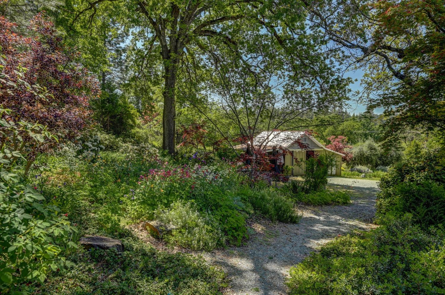 Detail Gallery Image 92 of 92 For 21 Burrows Ln, Murphys,  CA 95247 - 4 Beds | 3 Baths