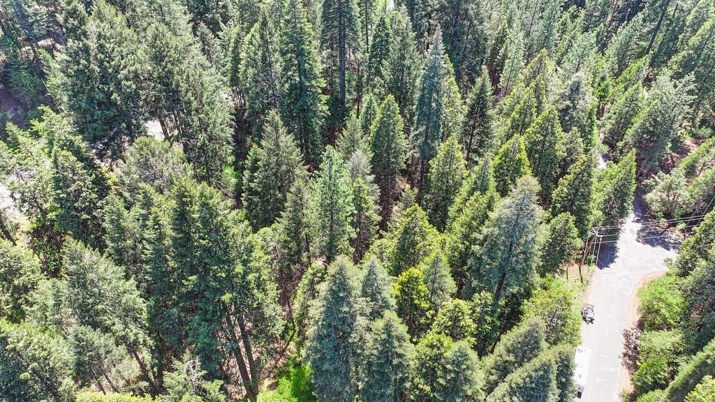 Detail Gallery Image 17 of 40 For 3005 Amber Trl, Pollock Pines,  CA 95726 - – Beds | – Baths