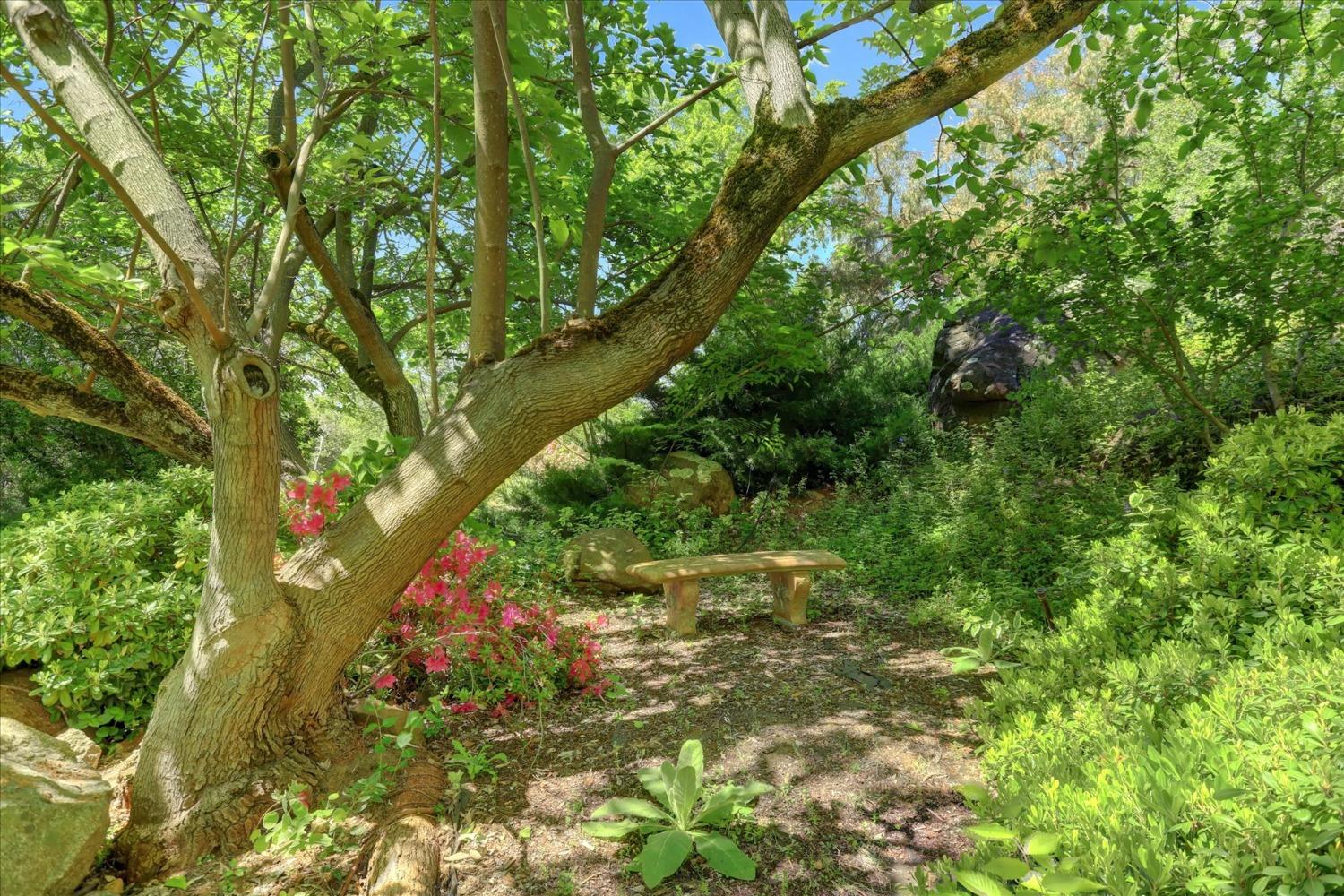 Detail Gallery Image 94 of 99 For 14511 Clear Creek Pl, Grass Valley,  CA 95949 - 3 Beds | 2 Baths