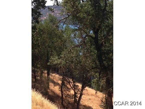Detail Gallery Image 6 of 7 For 4319 Tomahawk Trl, Copperopolis,  CA 95228 - – Beds | – Baths