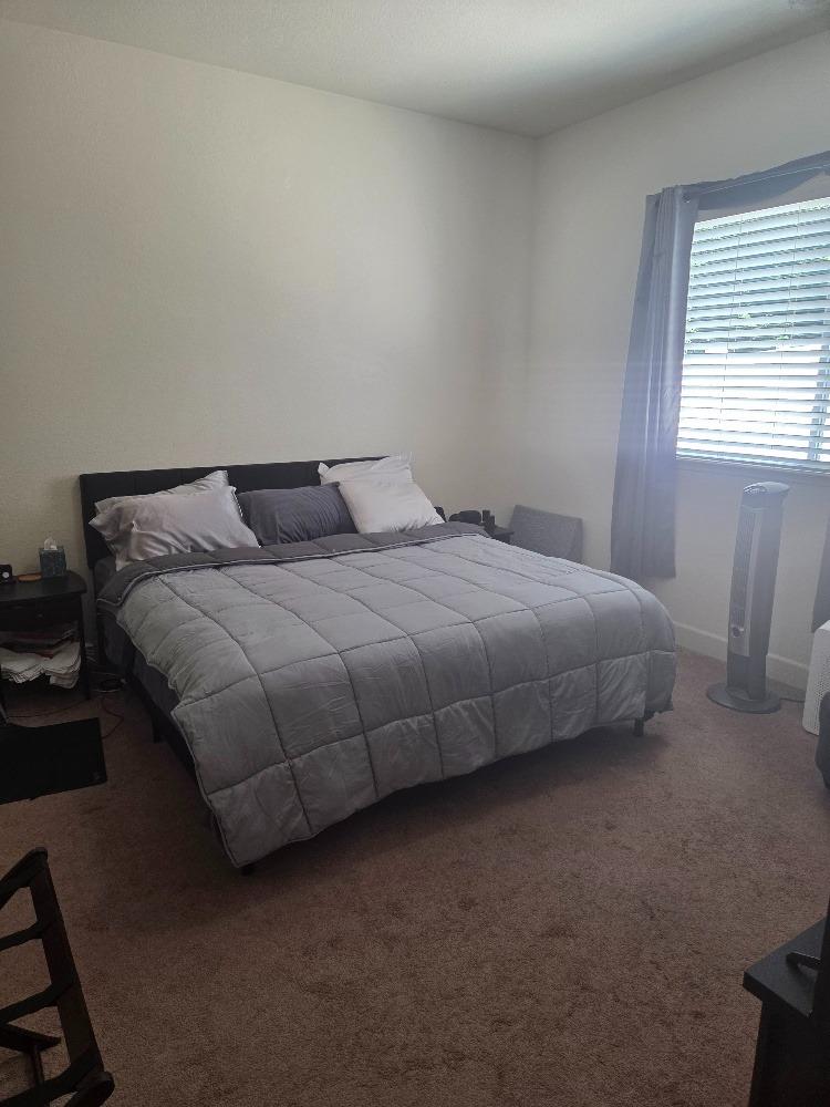 Detail Gallery Image 8 of 36 For 2620 Bird Rock Pl, Turlock,  CA 95380 - 2 Beds | 2 Baths