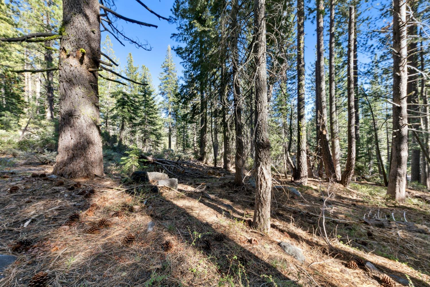Detail Gallery Image 8 of 25 For 50890 Manzanita Ter, Soda Springs,  CA 95728 - – Beds | – Baths