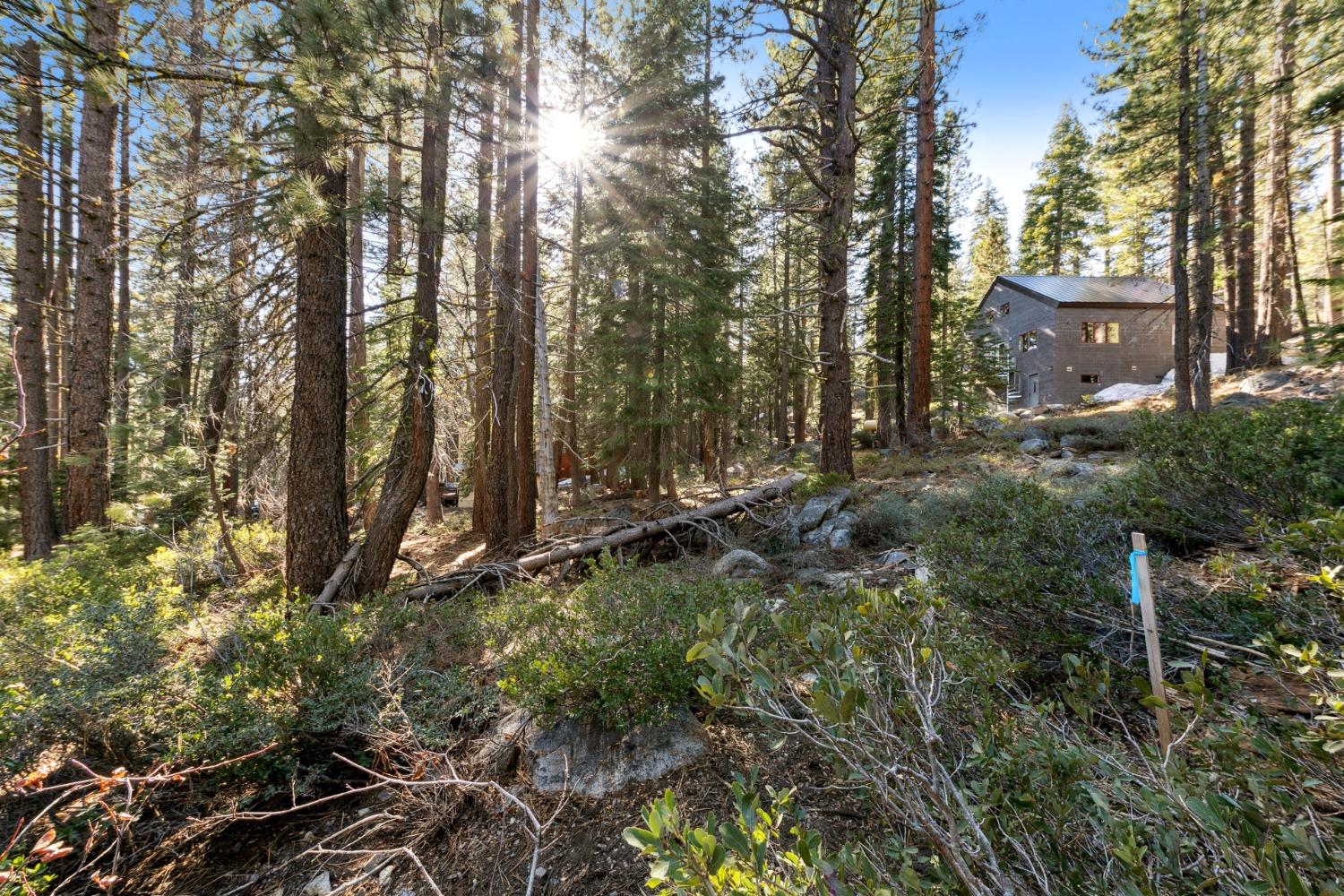 Detail Gallery Image 15 of 25 For 50890 Manzanita Ter, Soda Springs,  CA 95728 - – Beds | – Baths
