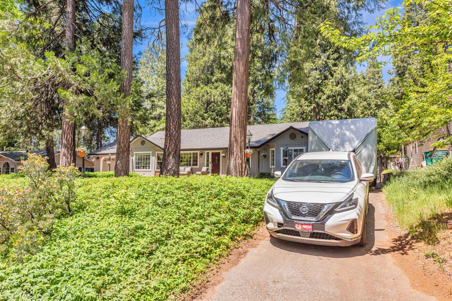 Dolly Varden Lane, Pollock Pines, California image 3