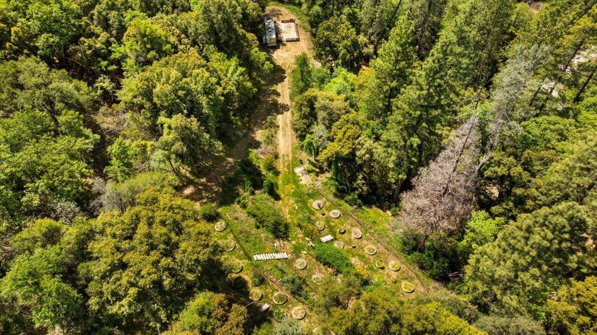 Detail Gallery Image 8 of 41 For 12921 Slate Creek, Nevada City,  CA 95959 - – Beds | – Baths