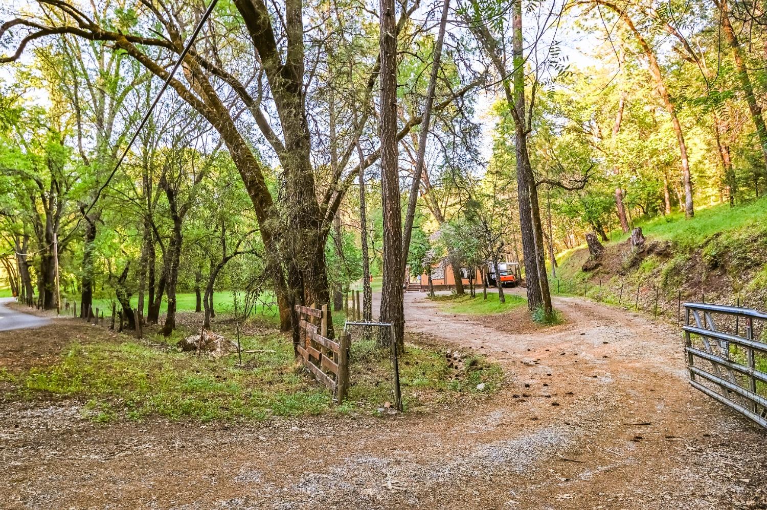 Big Cut Road, Placerville, California image 3