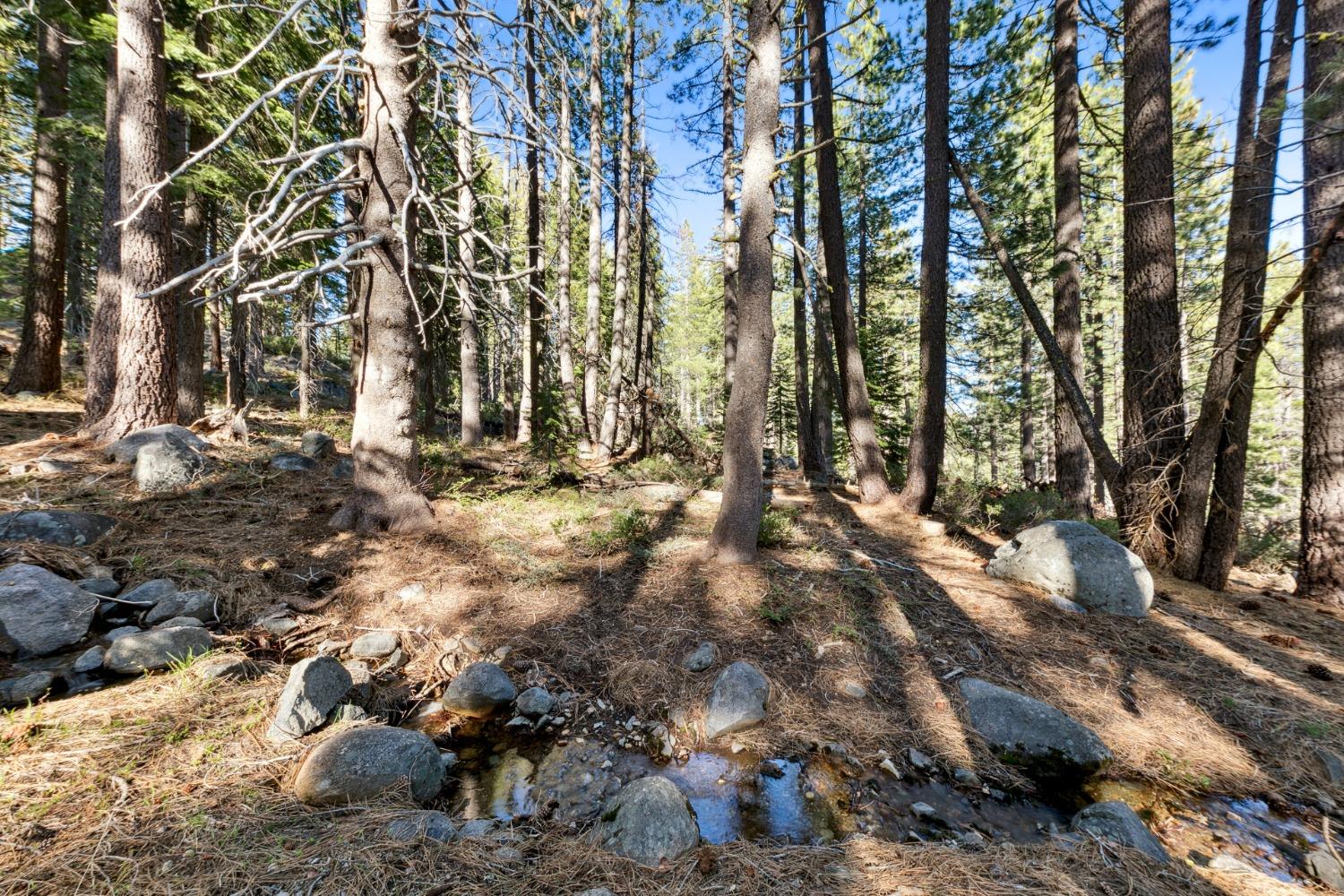 Detail Gallery Image 7 of 25 For 50890 Manzanita Ter, Soda Springs,  CA 95728 - – Beds | – Baths
