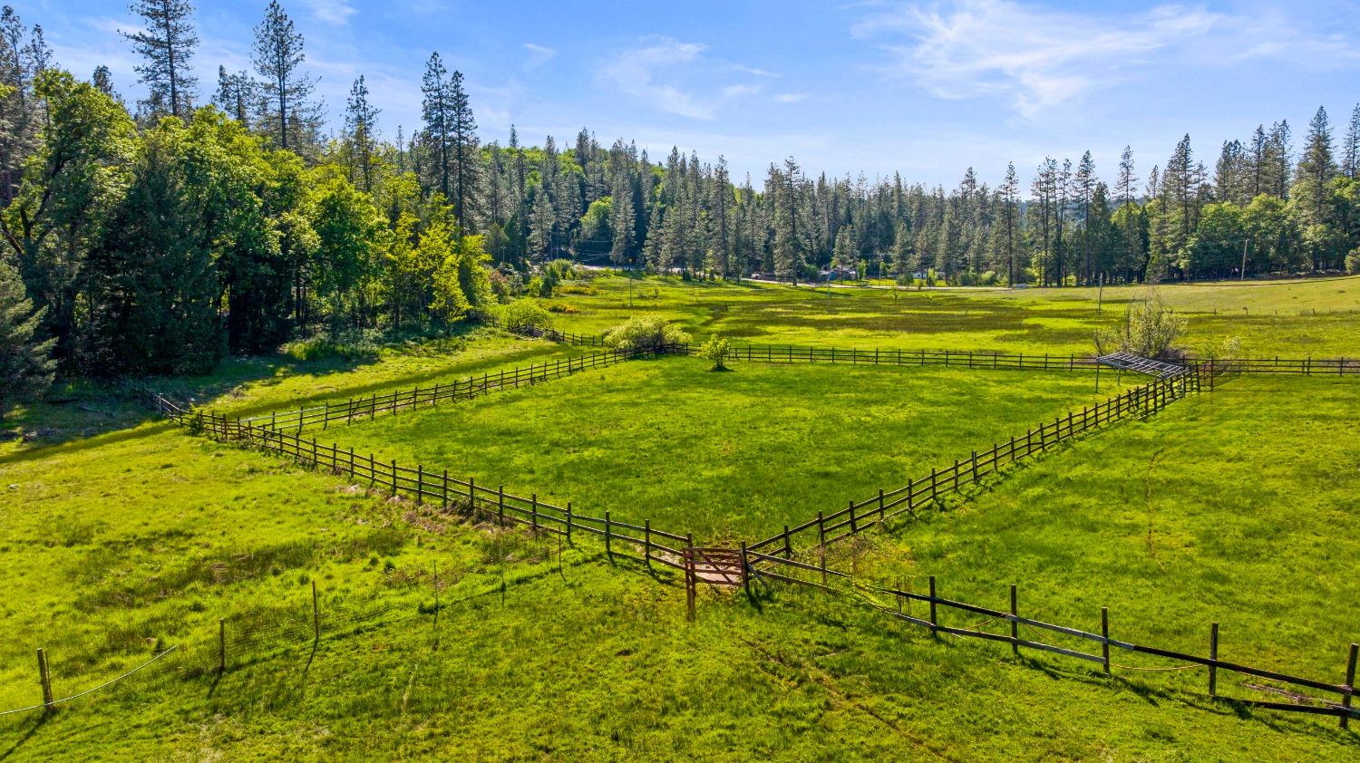 Detail Gallery Image 16 of 40 For 14421 You Bet Rd, Grass Valley,  CA 95945 - 4 Beds | 3 Baths
