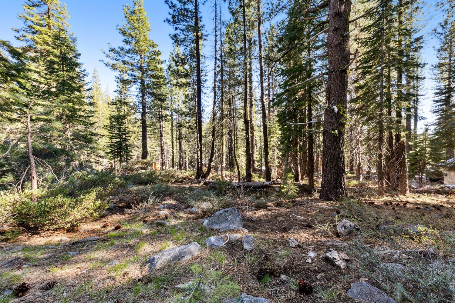 Detail Gallery Image 10 of 25 For 50890 Manzanita Ter, Soda Springs,  CA 95728 - – Beds | – Baths