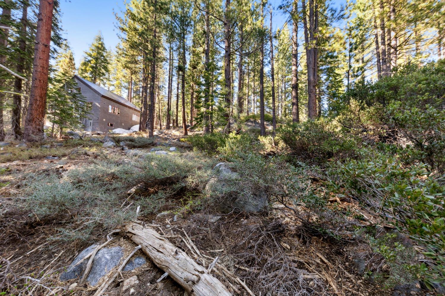 Detail Gallery Image 11 of 25 For 50890 Manzanita Ter, Soda Springs,  CA 95728 - – Beds | – Baths