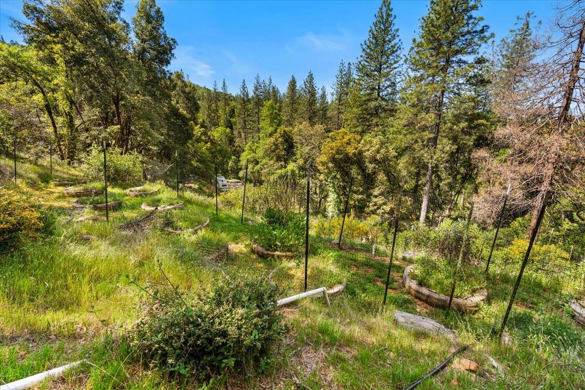 Detail Gallery Image 35 of 41 For 12921 Slate Creek, Nevada City,  CA 95959 - – Beds | – Baths