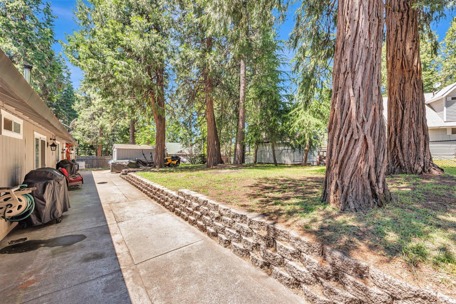 Dolly Varden Lane, Pollock Pines, California image 35