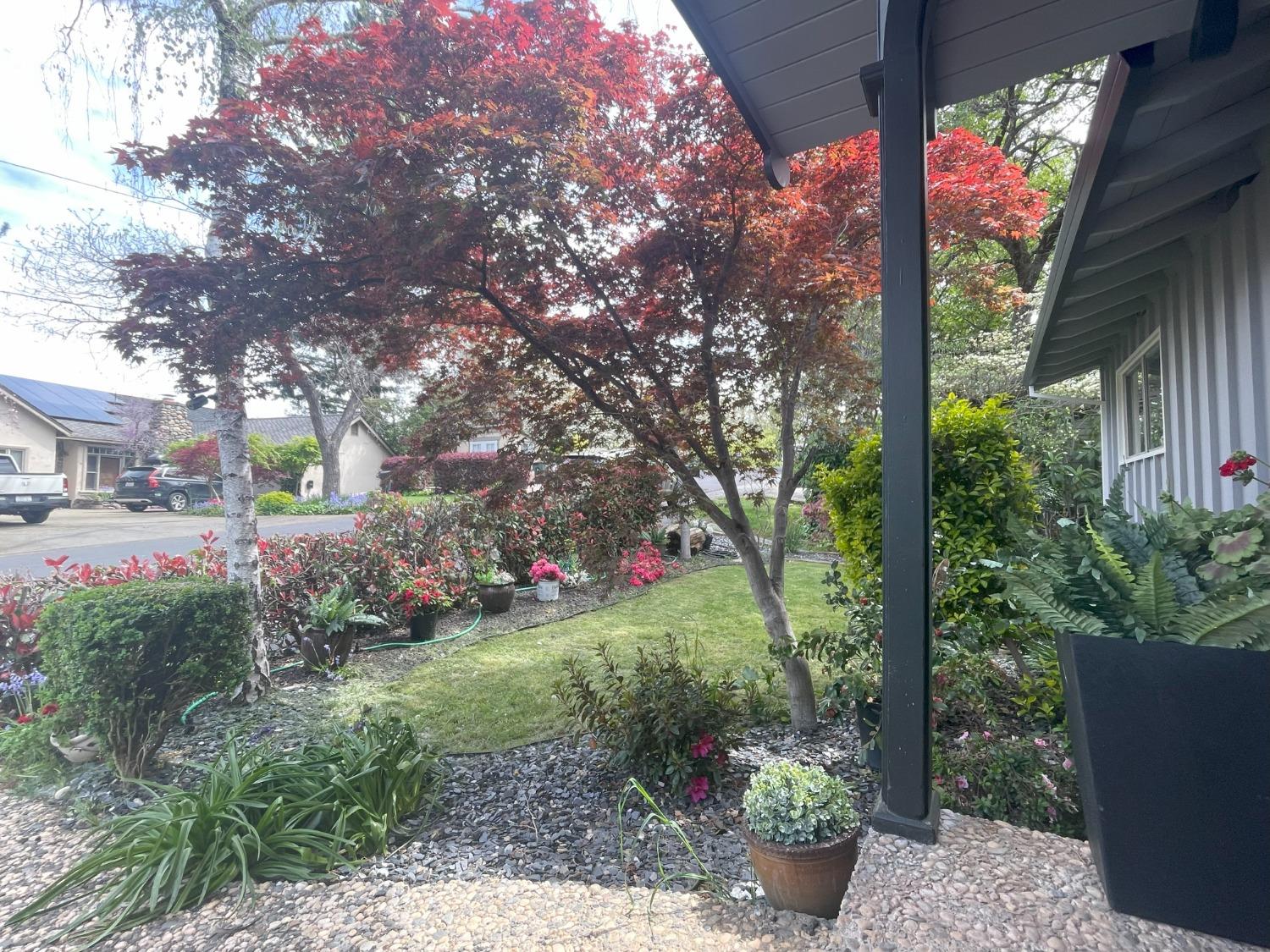 Detail Gallery Image 48 of 52 For 311 Hammond Dr, Auburn,  CA 95603 - 4 Beds | 4 Baths