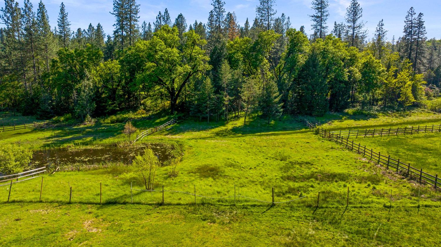 Detail Gallery Image 17 of 40 For 14421 You Bet Rd, Grass Valley,  CA 95945 - 4 Beds | 3 Baths