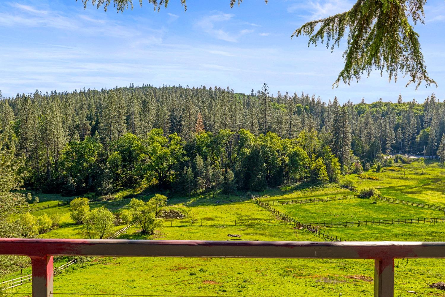 Detail Gallery Image 19 of 40 For 14421 You Bet Rd, Grass Valley,  CA 95945 - 4 Beds | 3 Baths