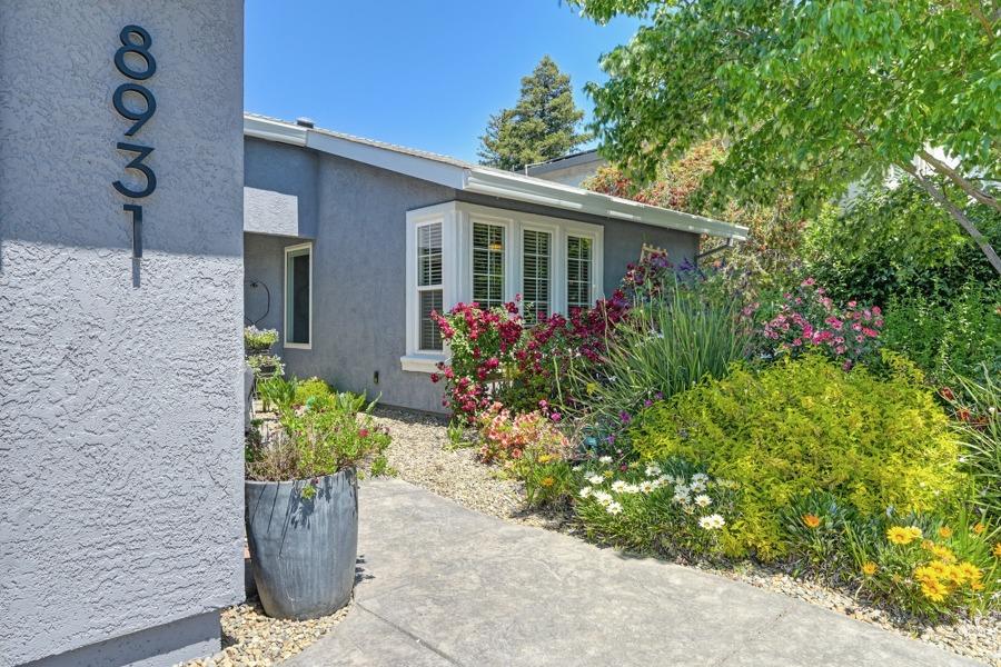 Detail Gallery Image 11 of 60 For 8931 Mountain Home Ct, Elk Grove,  CA 95624 - 3 Beds | 2 Baths