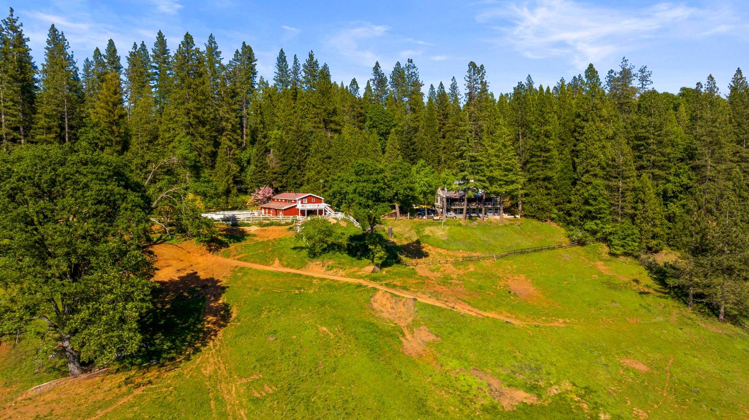 Detail Gallery Image 8 of 40 For 14421 You Bet Rd, Grass Valley,  CA 95945 - 4 Beds | 3 Baths