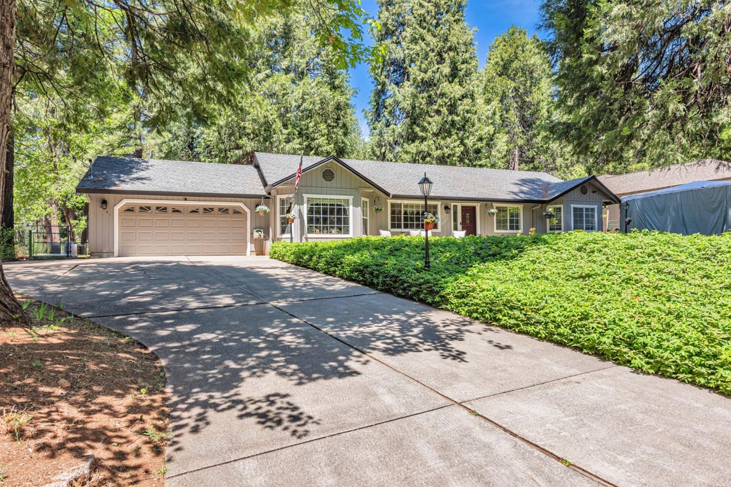 Dolly Varden Lane, Pollock Pines, California image 2