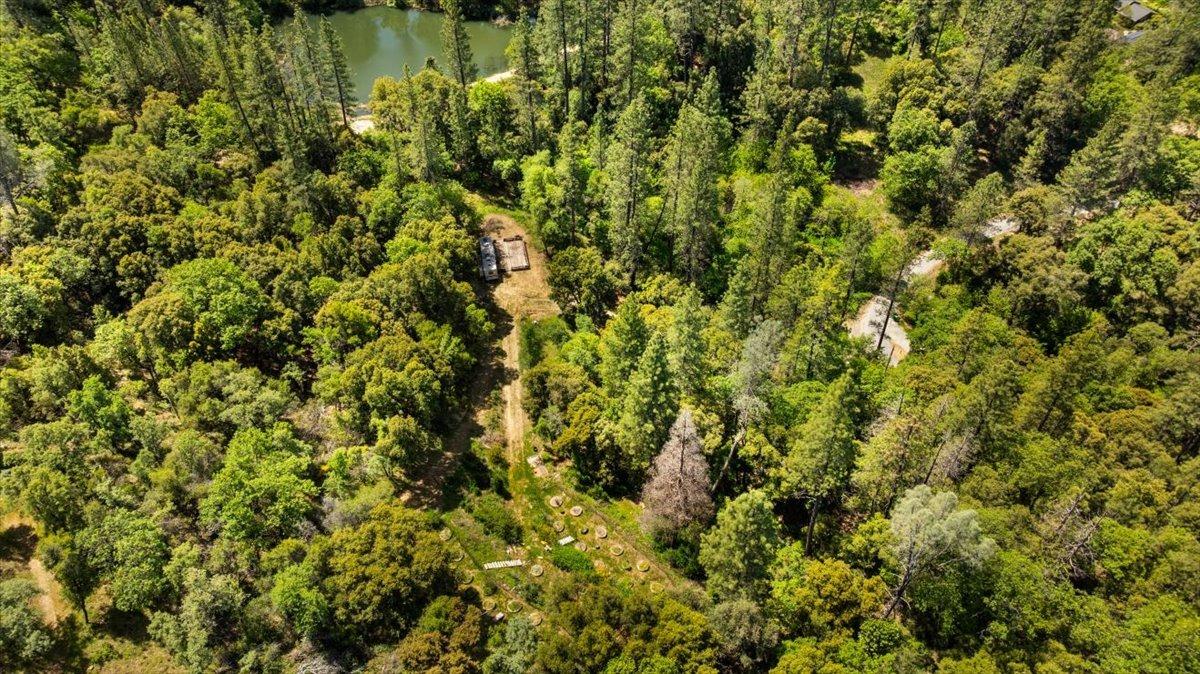 Detail Gallery Image 9 of 41 For 12921 Slate Creek, Nevada City,  CA 95959 - – Beds | – Baths