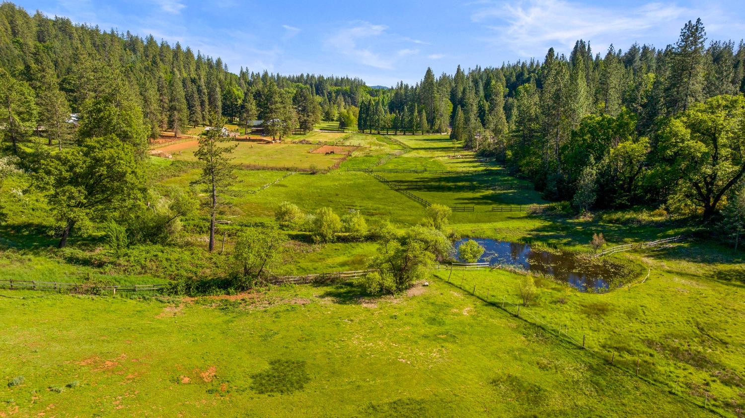 Detail Gallery Image 7 of 40 For 14421 You Bet Rd, Grass Valley,  CA 95945 - 4 Beds | 3 Baths