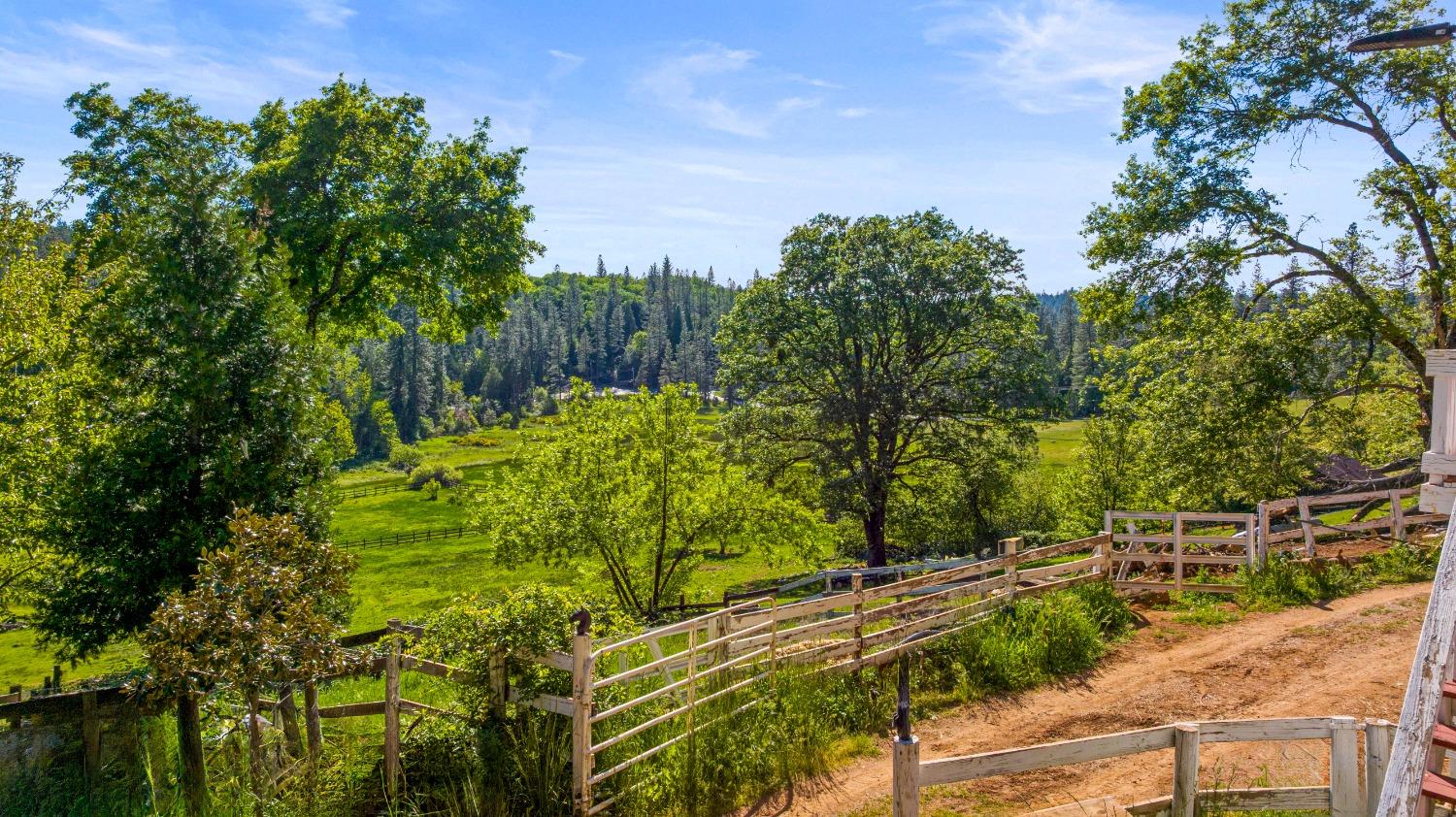 Detail Gallery Image 14 of 40 For 14421 You Bet Rd, Grass Valley,  CA 95945 - 4 Beds | 3 Baths