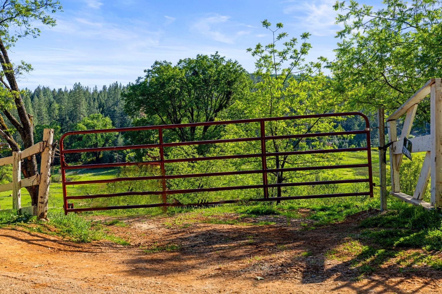 Detail Gallery Image 33 of 40 For 14421 You Bet Rd, Grass Valley,  CA 95945 - 4 Beds | 3 Baths
