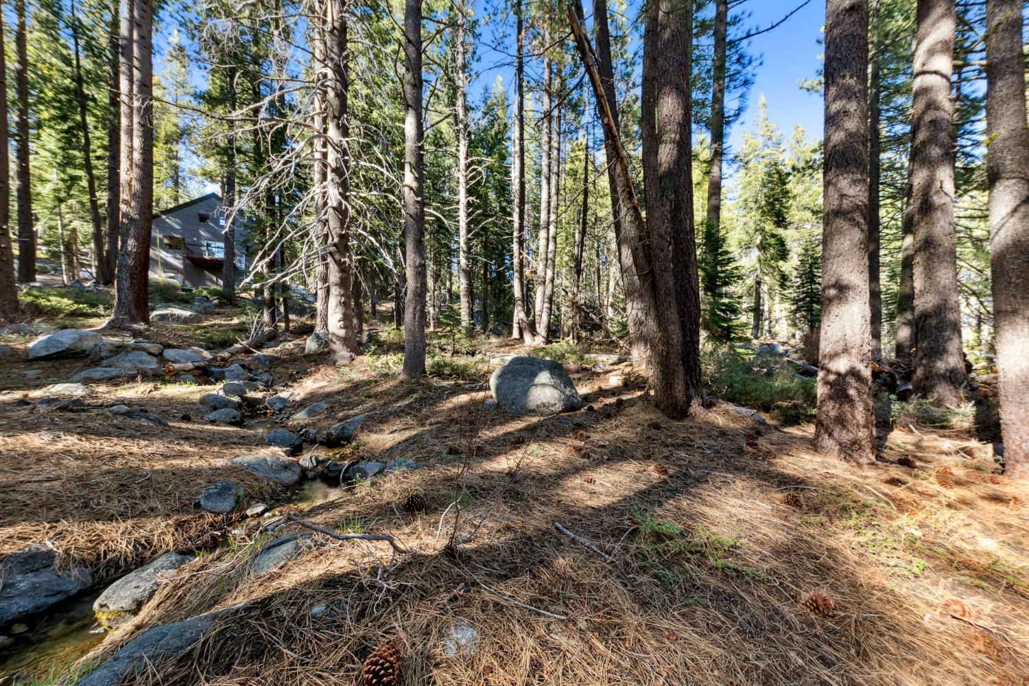 Detail Gallery Image 13 of 25 For 50890 Manzanita Ter, Soda Springs,  CA 95728 - – Beds | – Baths
