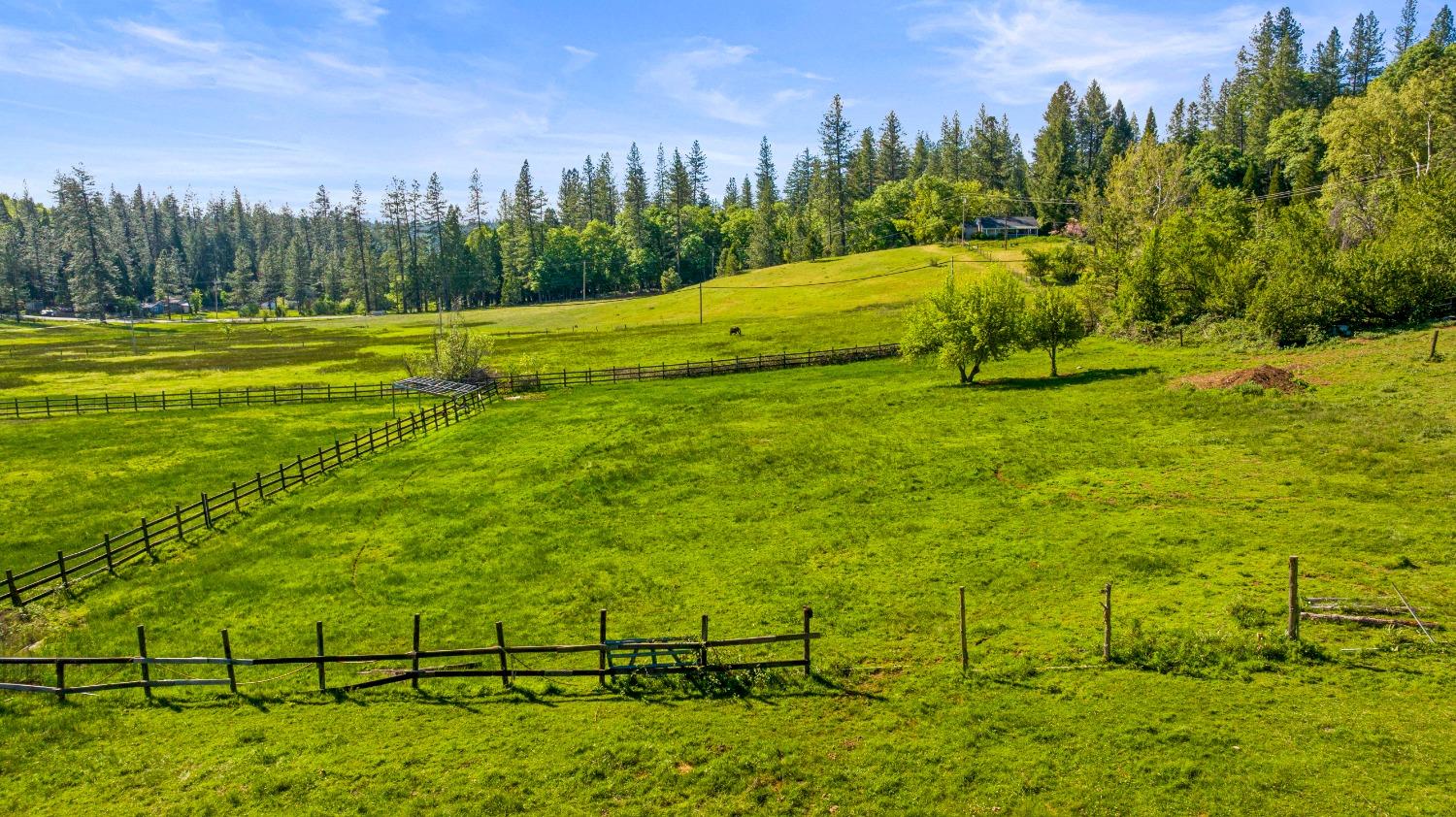 Detail Gallery Image 39 of 40 For 14421 You Bet Rd, Grass Valley,  CA 95945 - 4 Beds | 3 Baths