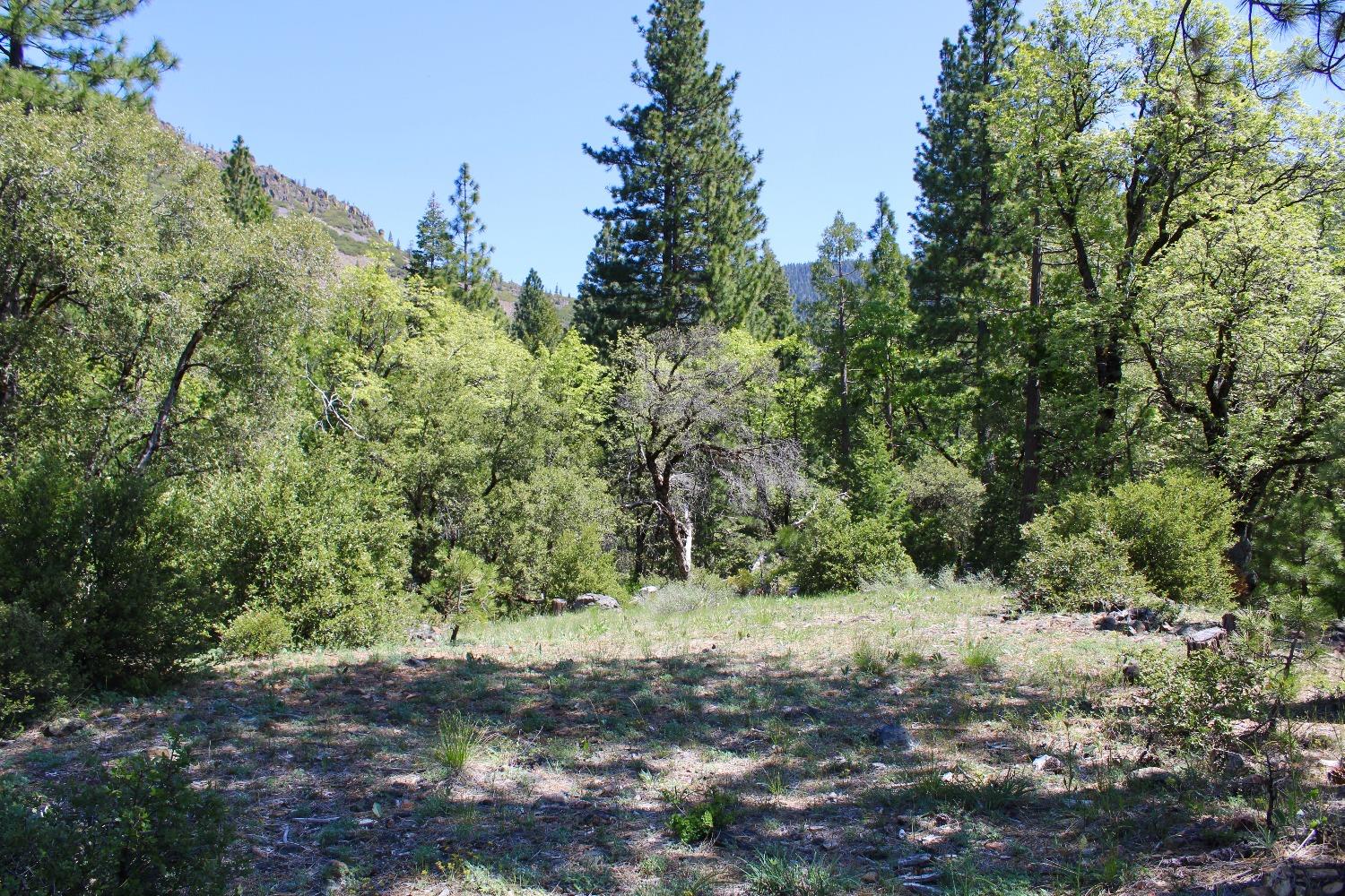 Detail Gallery Image 2 of 15 For 558 Brady Dr., Sierra City,  CA 96125 - – Beds | – Baths