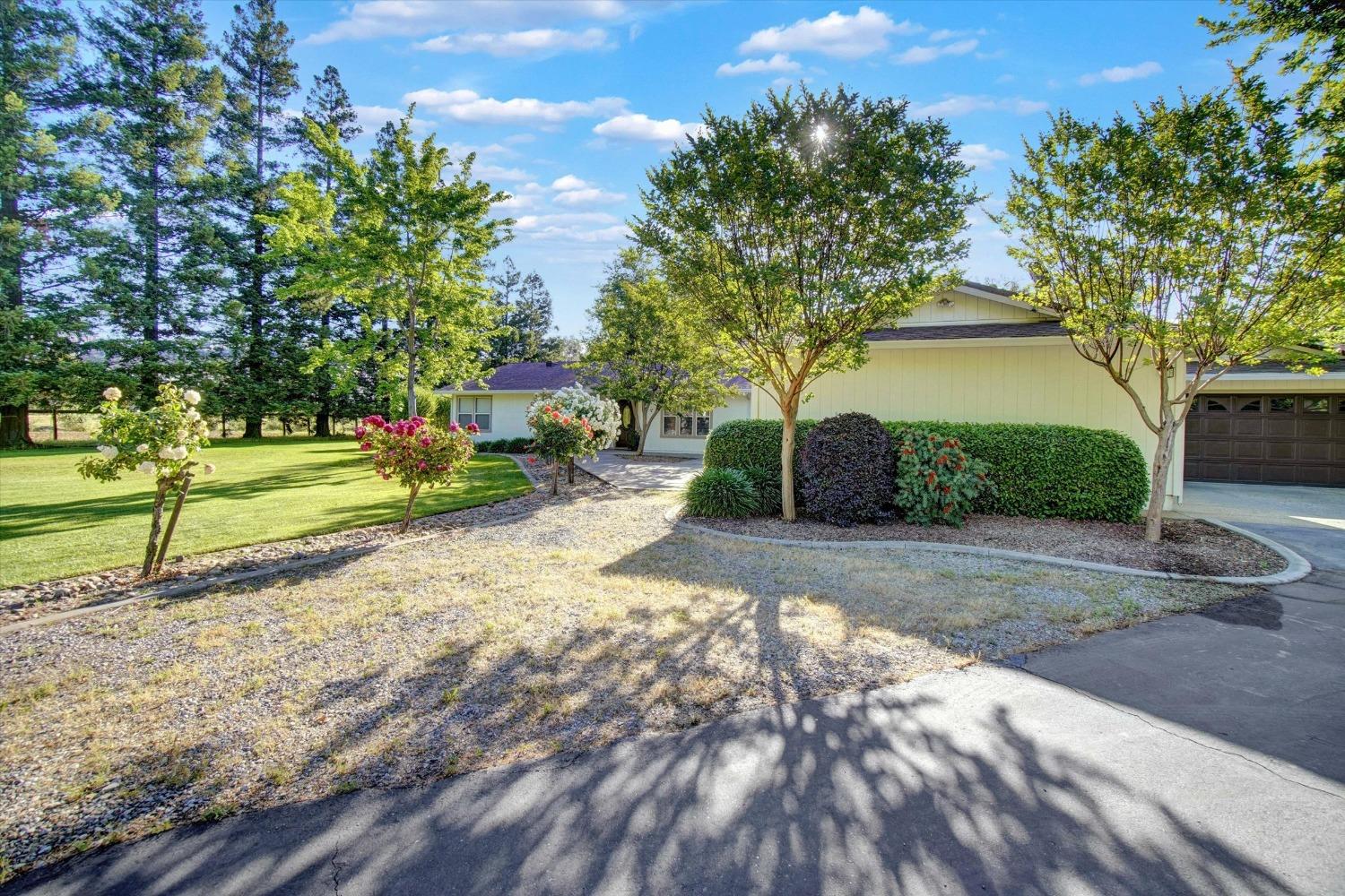 Detail Gallery Image 45 of 85 For 10363 Maggy Rd, Wilton,  CA 95693 - 4 Beds | 3/1 Baths