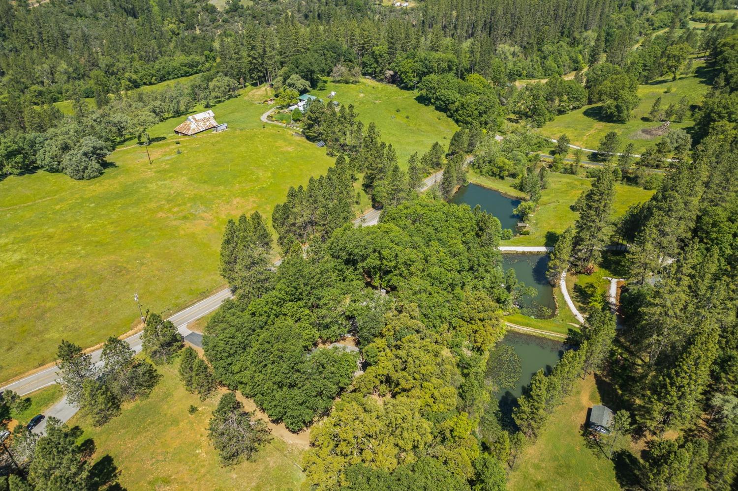 Detail Gallery Image 53 of 55 For 15583 Auburn Rd, Grass Valley,  CA 95949 - 3 Beds | 2 Baths