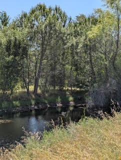 Penny Lane, Lincoln, California image 14