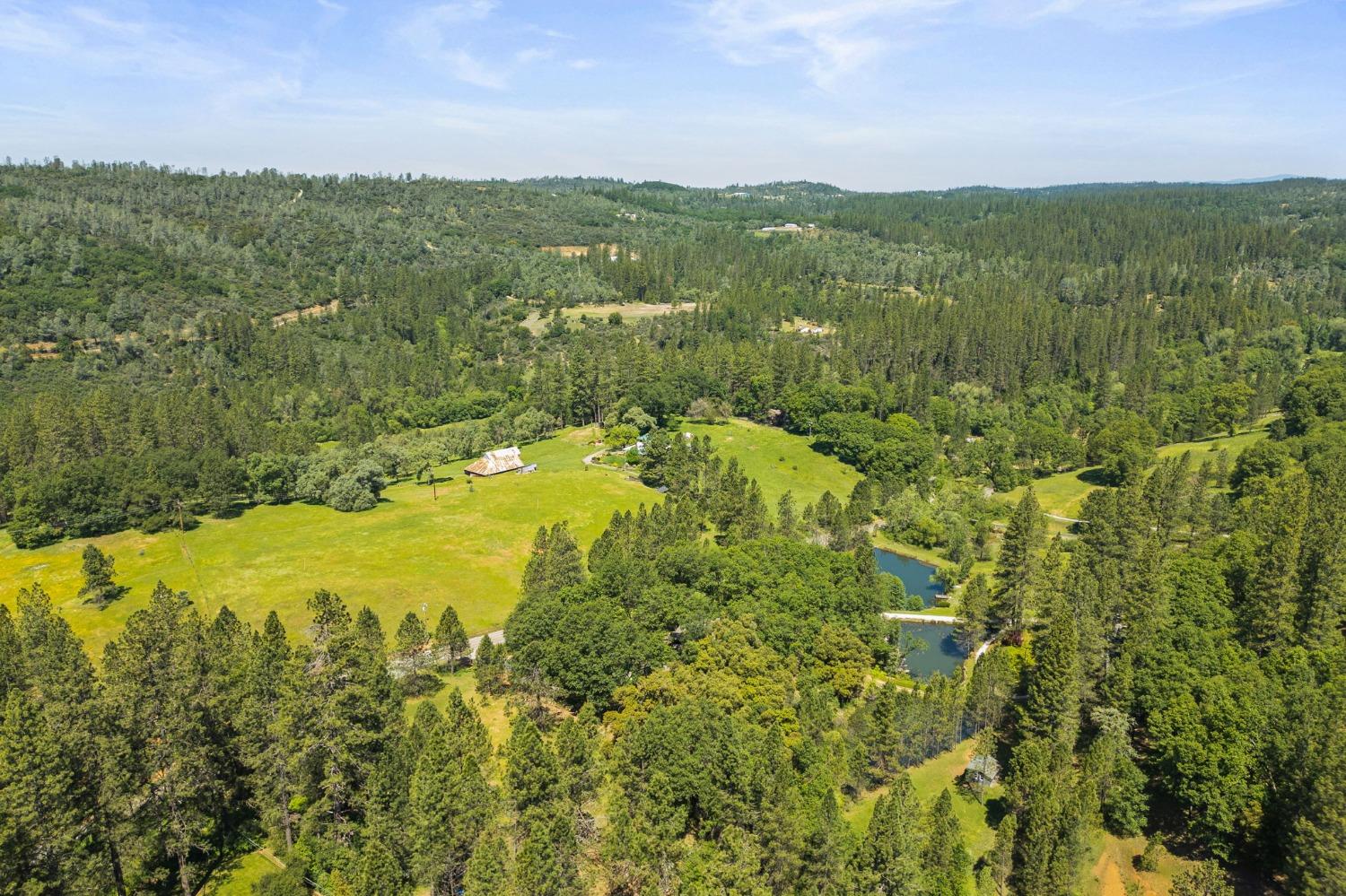 Detail Gallery Image 54 of 55 For 15583 Auburn Rd, Grass Valley,  CA 95949 - 3 Beds | 2 Baths