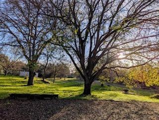 Penny Lane, Lincoln, California image 6