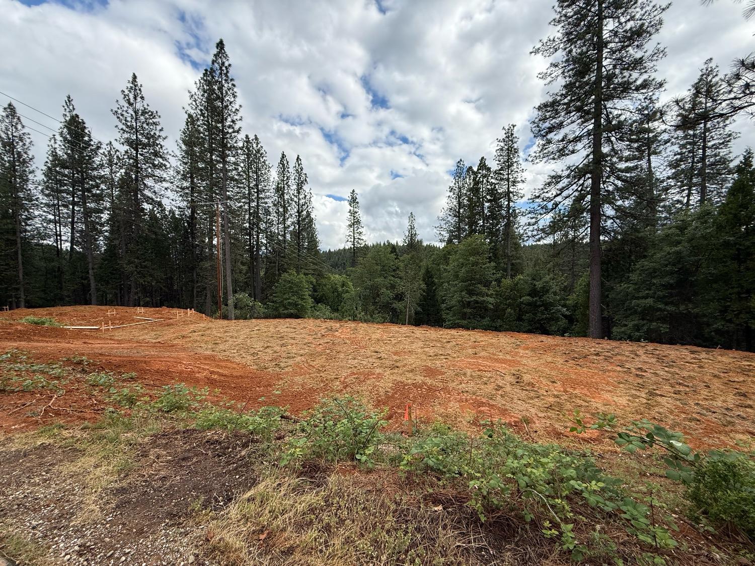 Detail Gallery Image 1 of 6 For 12477 New Brunswick Ct, Grass Valley,  CA 95945 - – Beds | – Baths