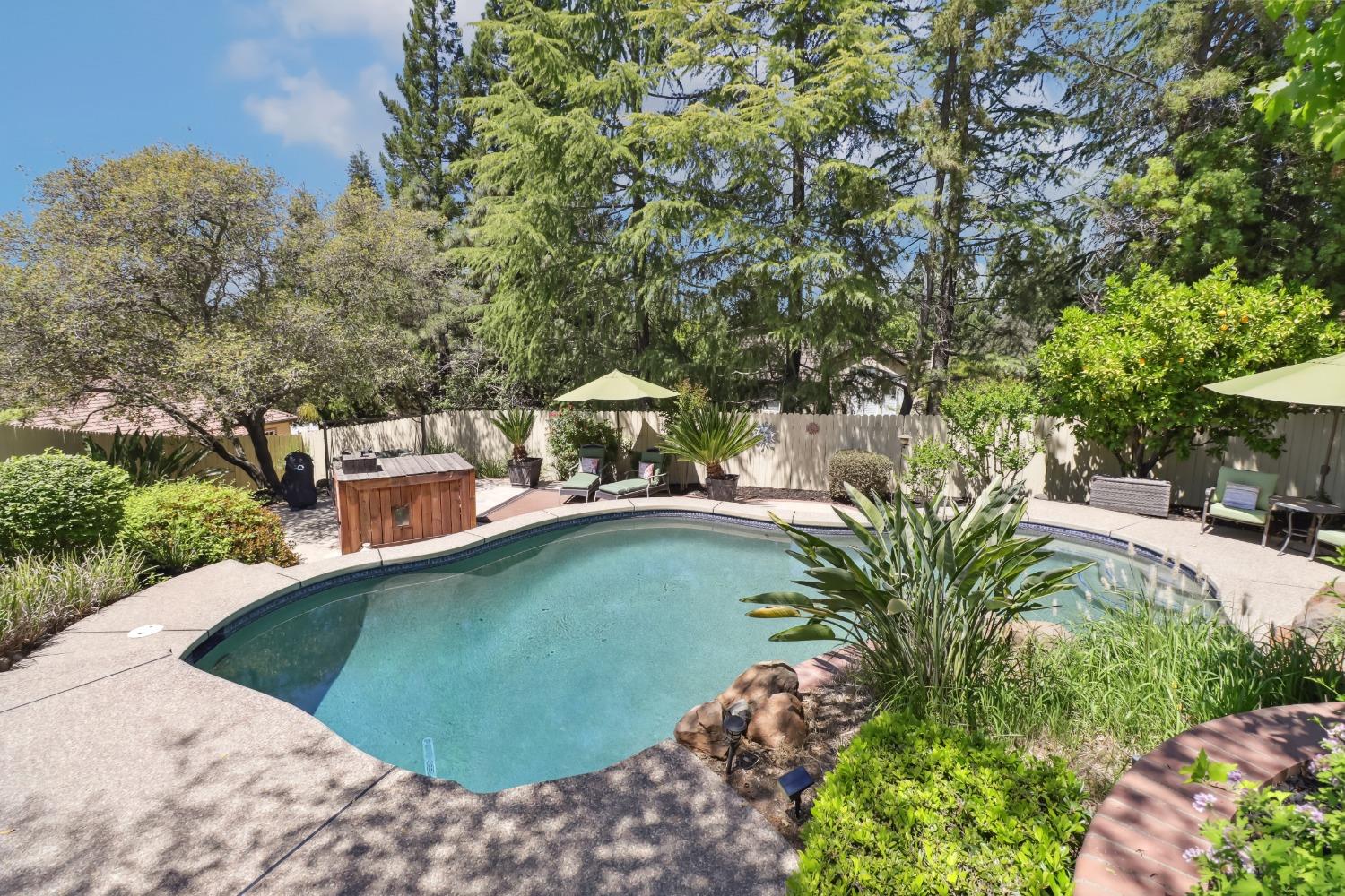 Detail Gallery Image 62 of 99 For 204 Davies Ct, Folsom,  CA 95630 - 4 Beds | 2/1 Baths