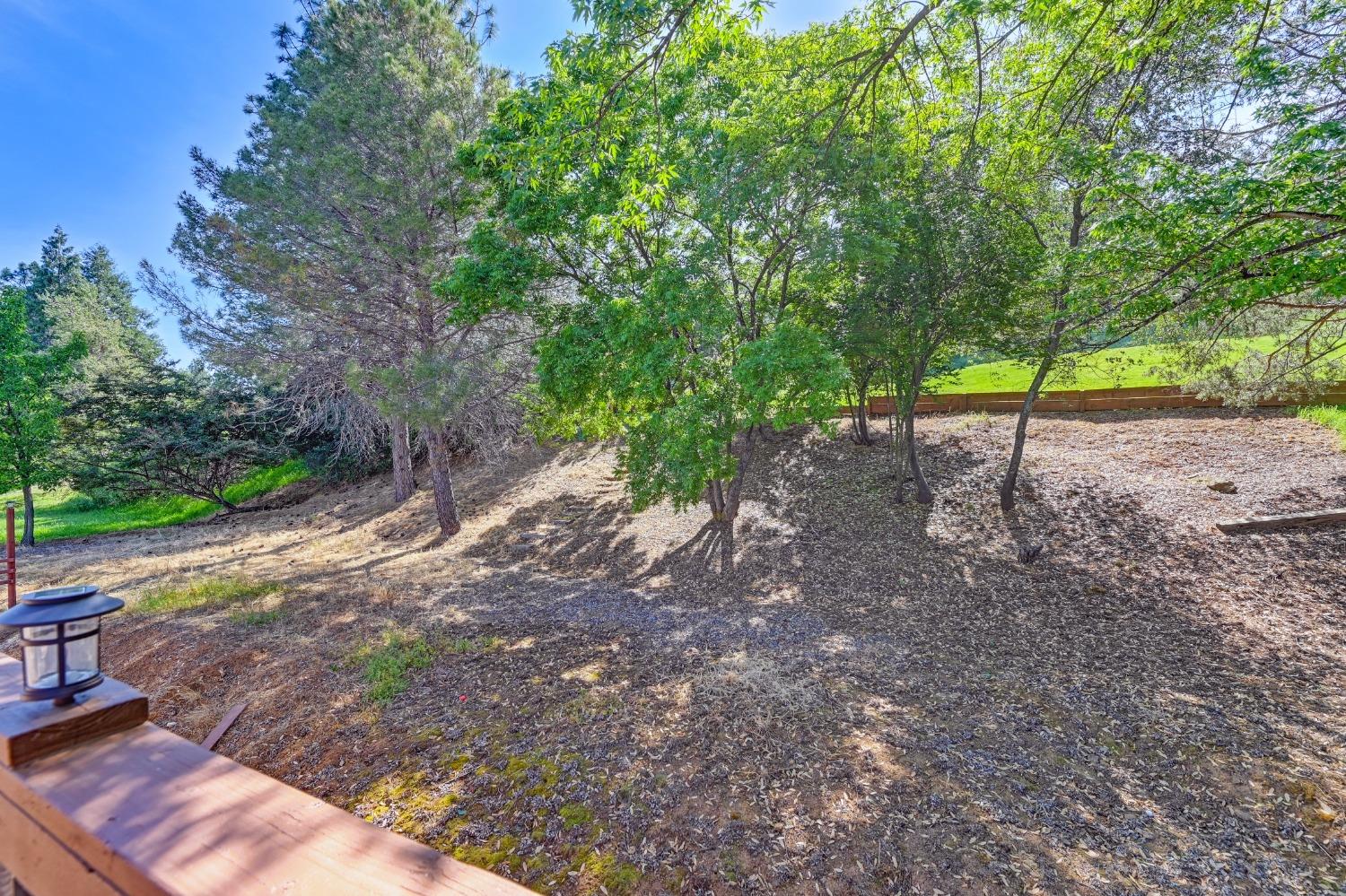 Torrey Pines Drive, Auburn, California image 42