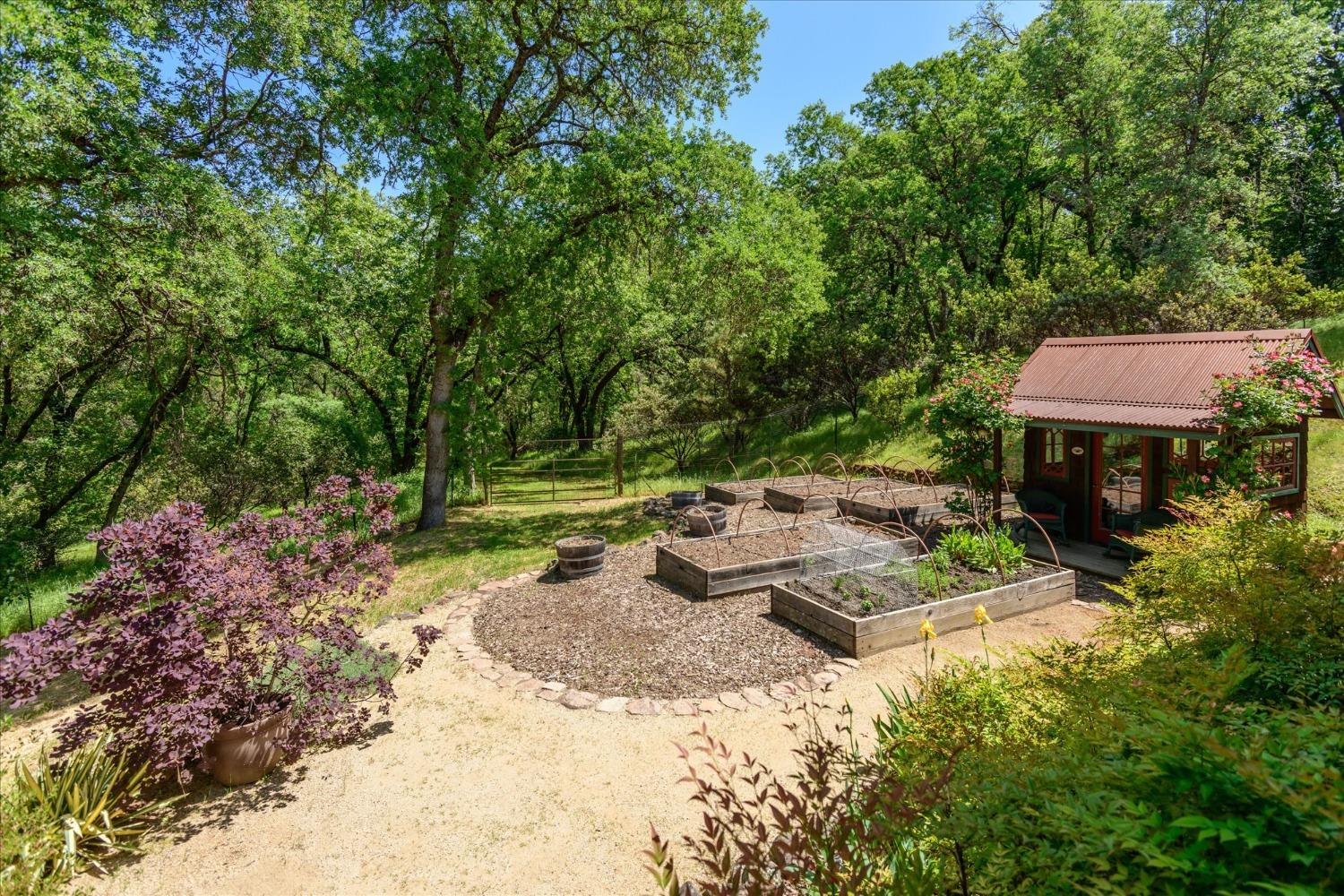 Detail Gallery Image 64 of 86 For 1267 Old Rock Bridge Rd, Placerville,  CA 95667 - 3 Beds | 2 Baths